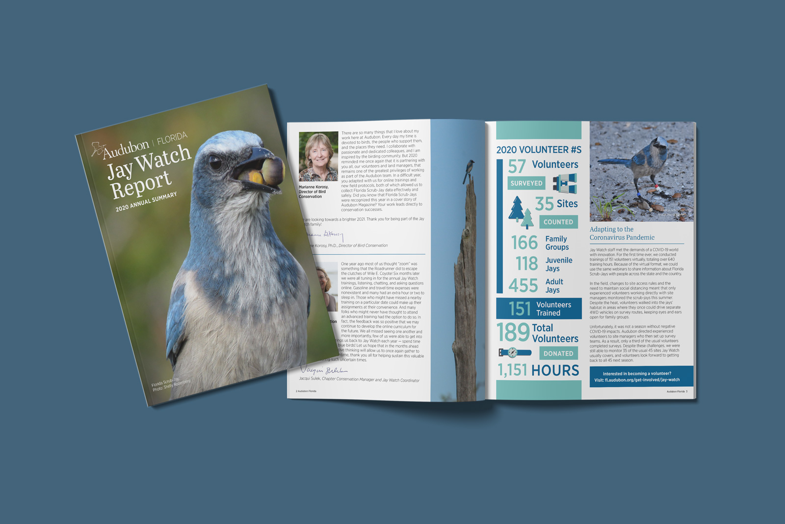 Florida Audubon Jay Watch Report Magazine Design