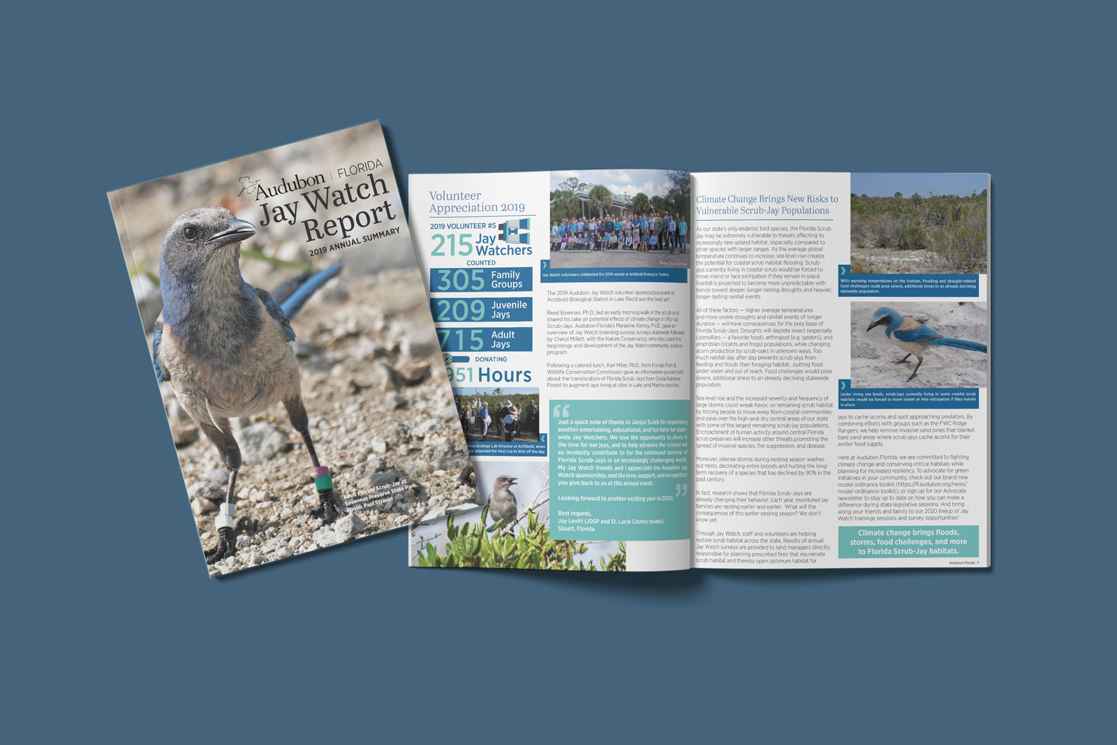 Annual report editorial design for local Florida conservation organization