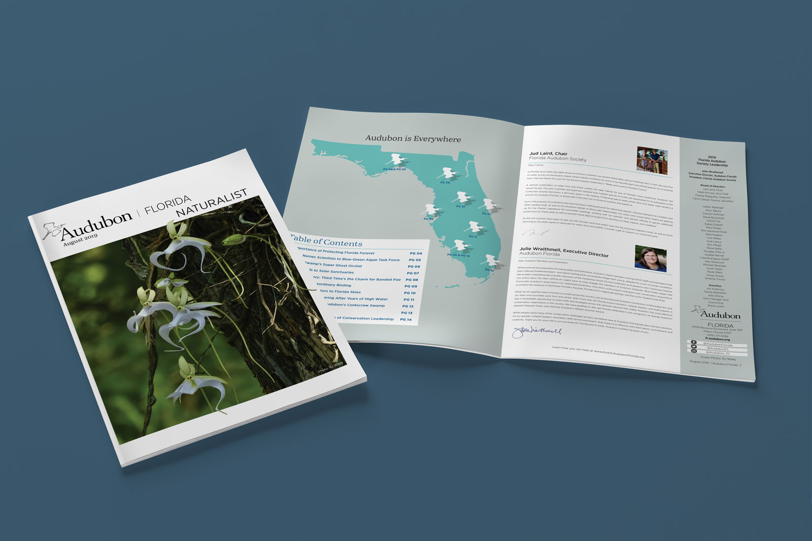 Annual report magazine editorial design for local Florida conservation organization