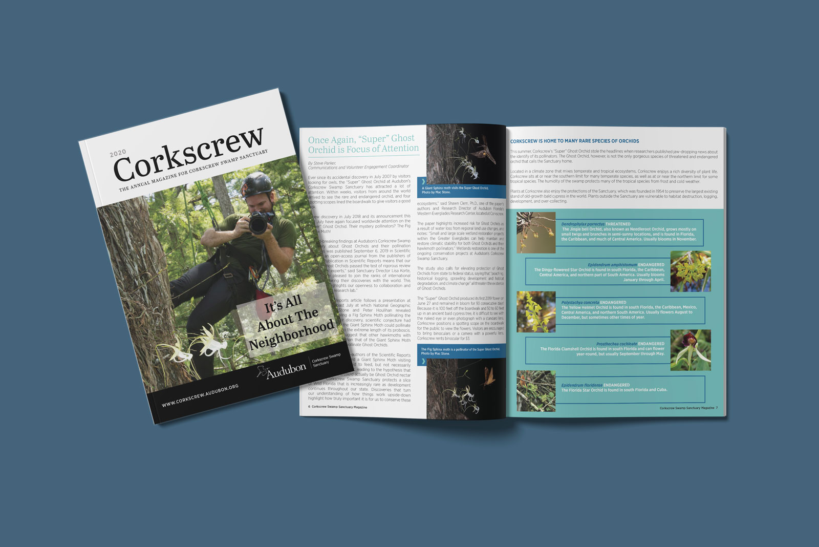 Annual report magazine editorial design for local Florida conservation organization