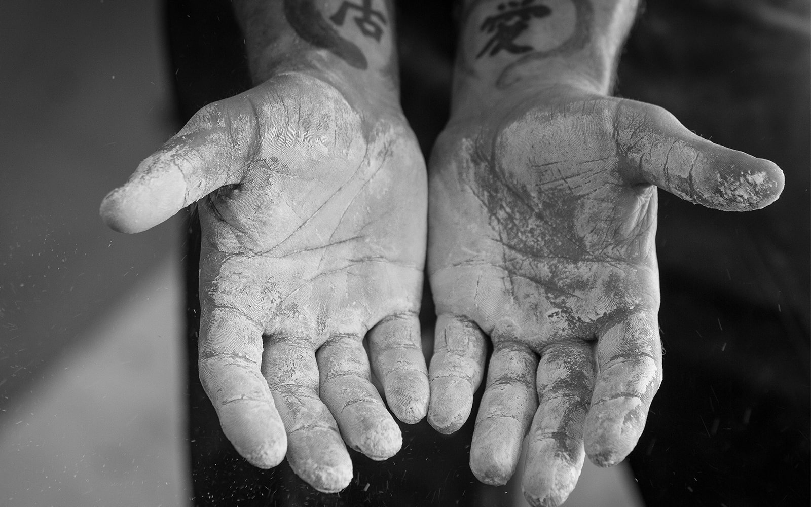 Rough hands chalked for rock climbing