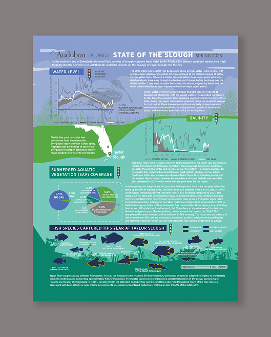 Audubon Florida State of the Slough