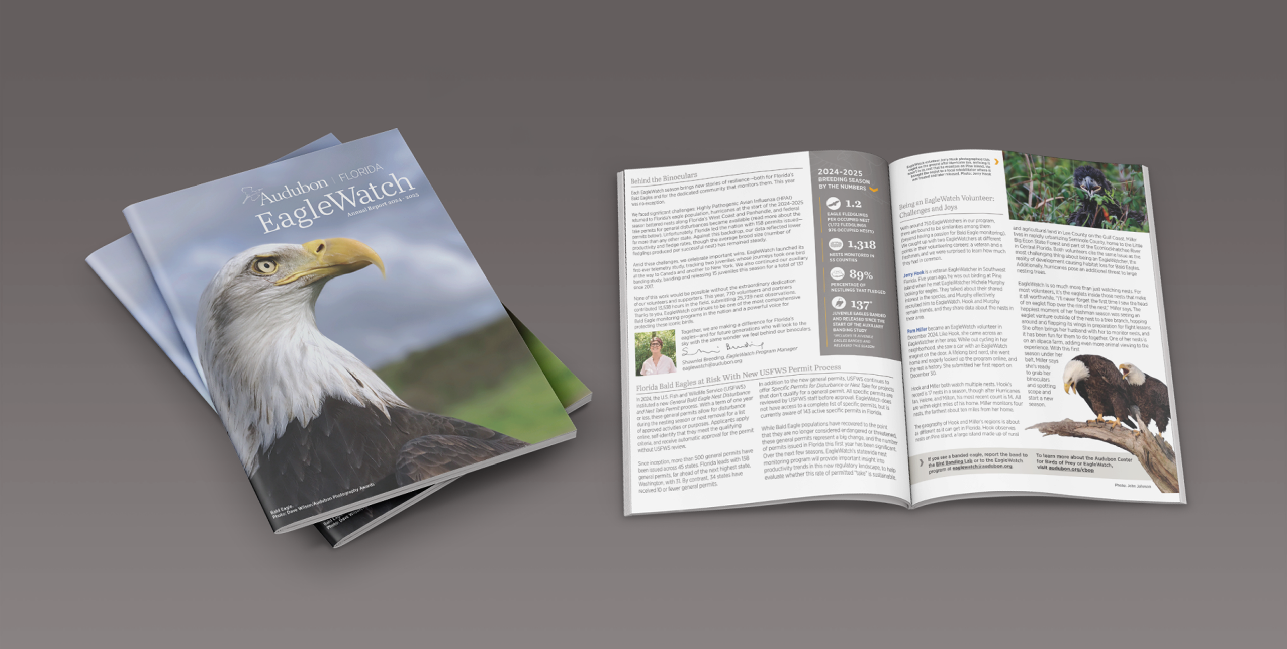 Audubon Eagle Watch Cover