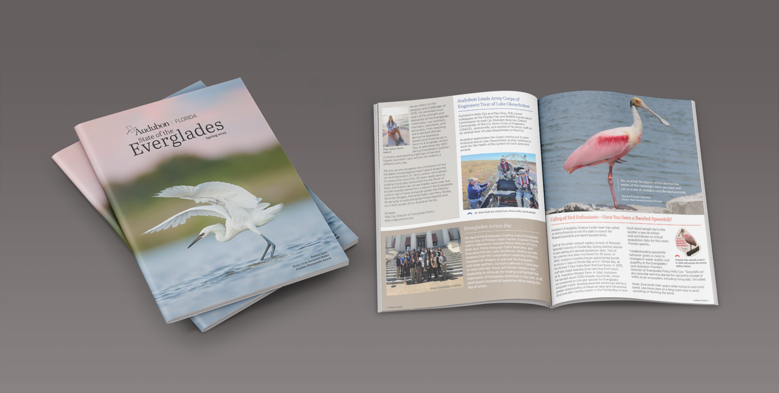 Audubon State of the Everglades cover and pages