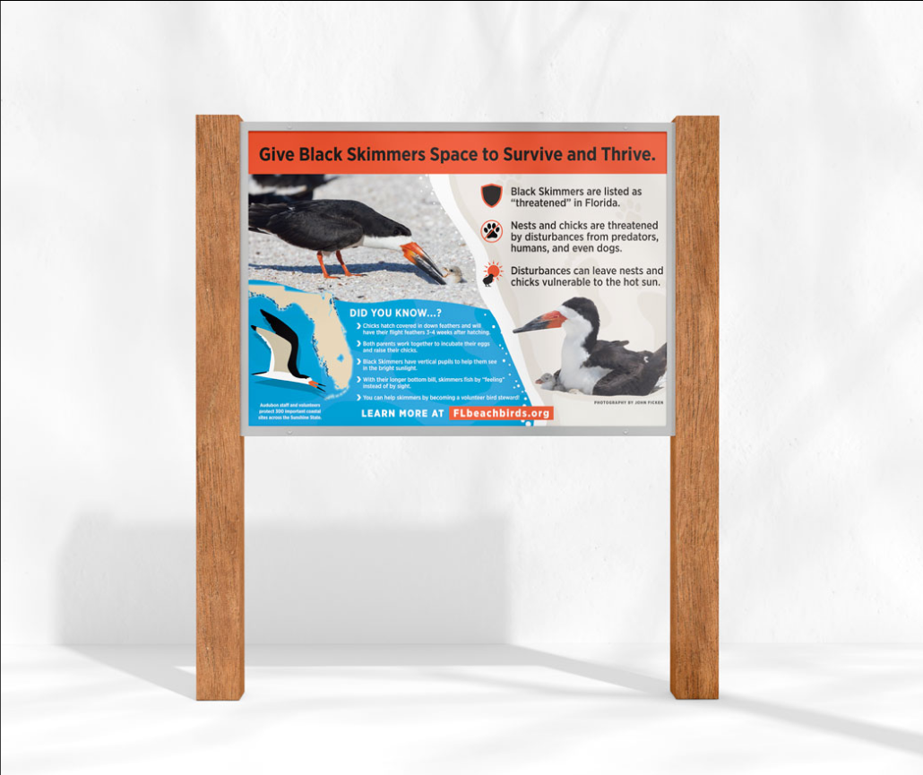 Sign warning to give black skimmers space