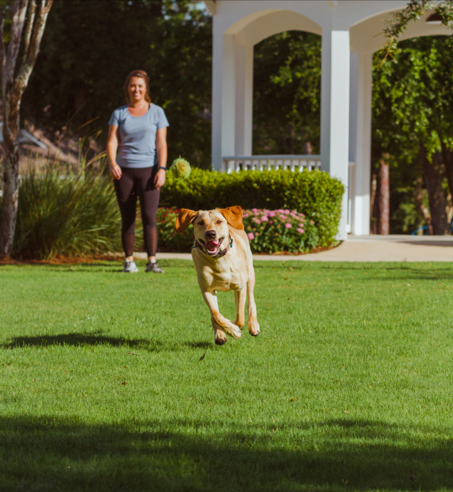 Woman playing with dog outside