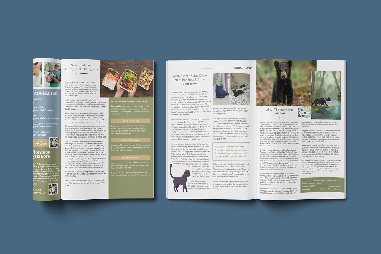 Magazine Pages